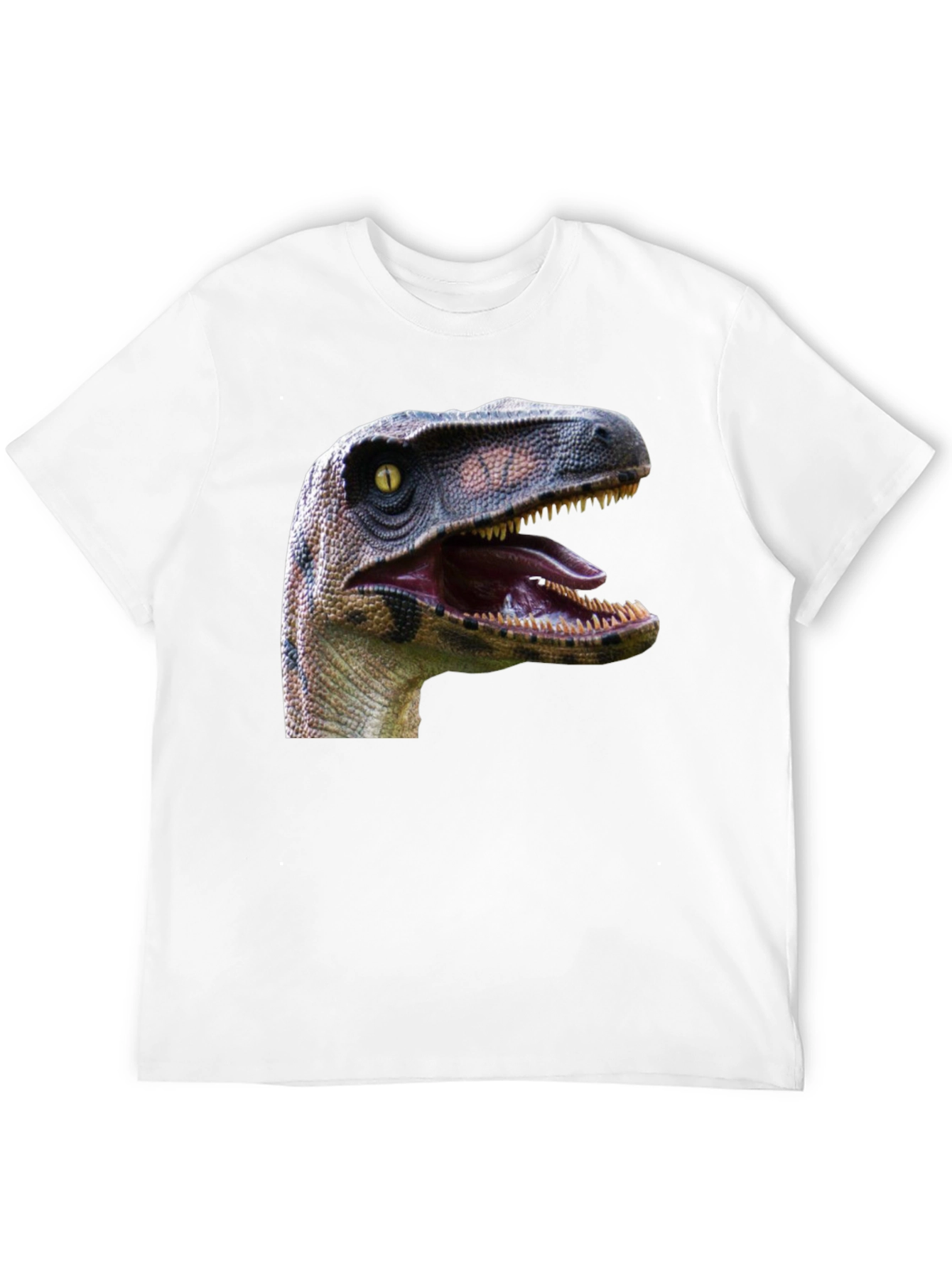 Dinosaur Graphic Print Black T-Shirt
