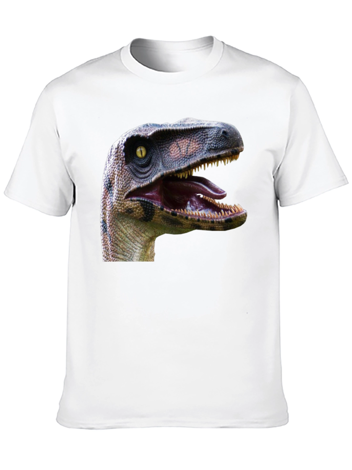 Dinosaur Graphic Print Black T-Shirt