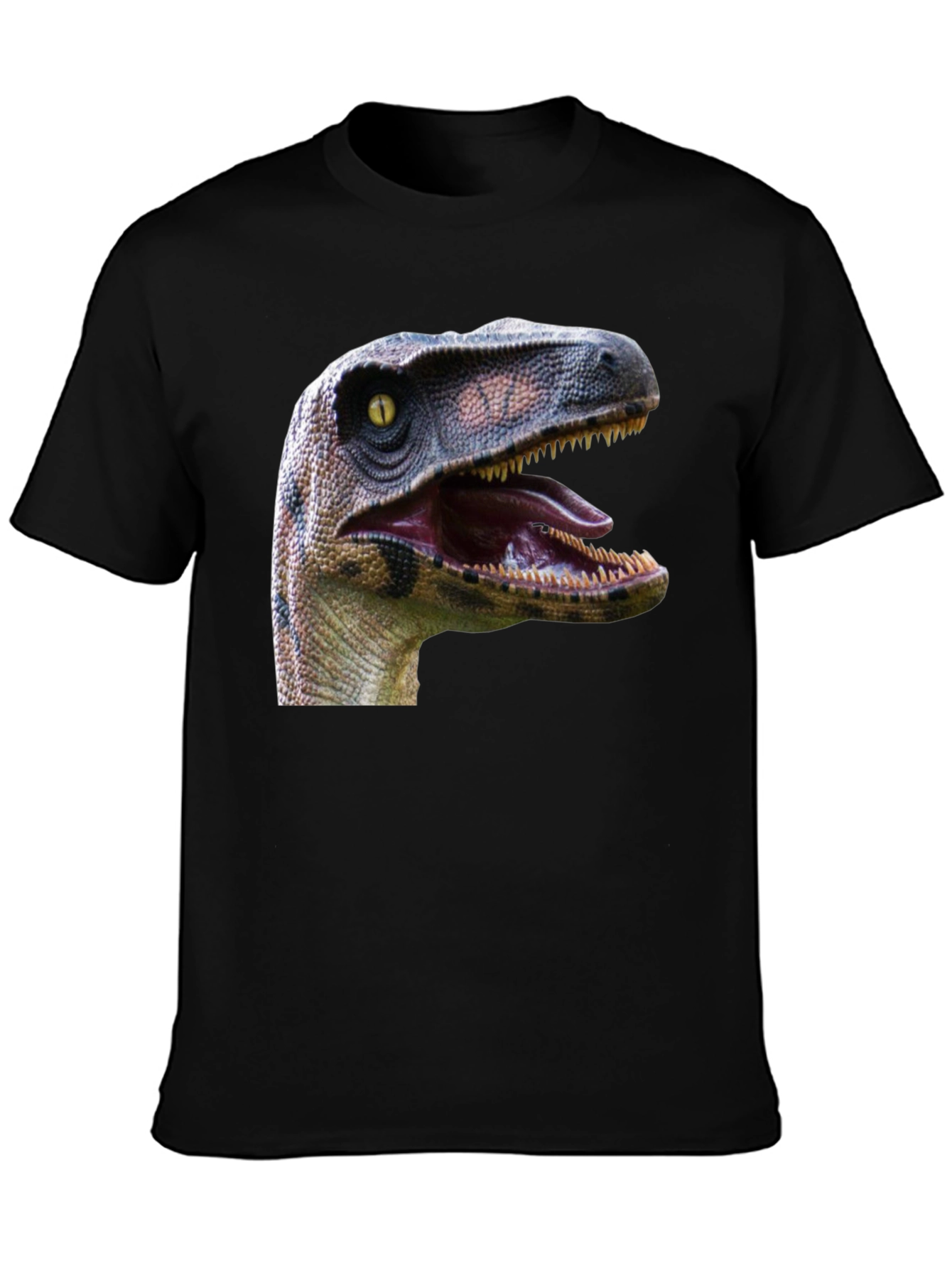 Dinosaur Graphic Print Black T-Shirt