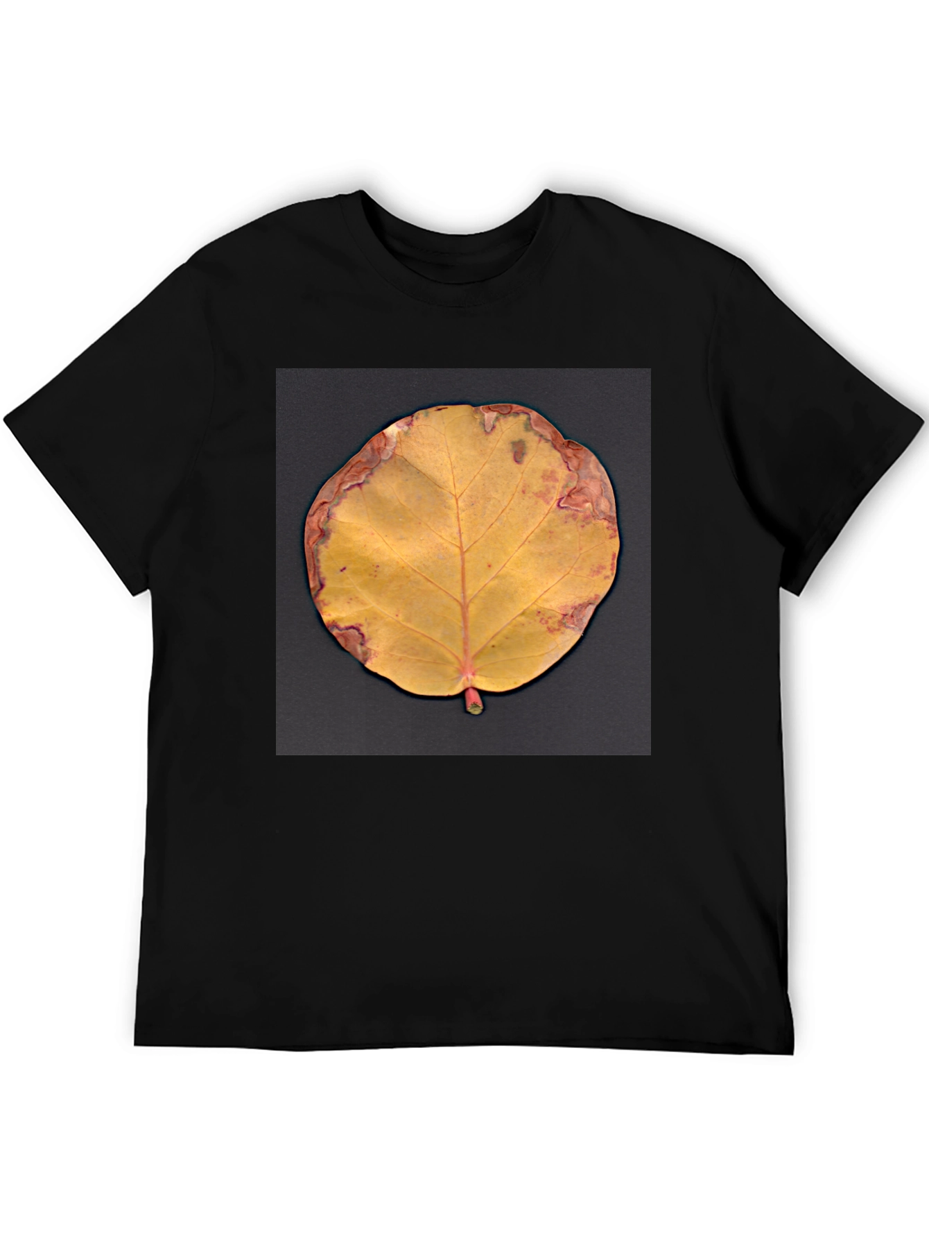 Fall Leaf Graphic Tee - Unique Nature Design