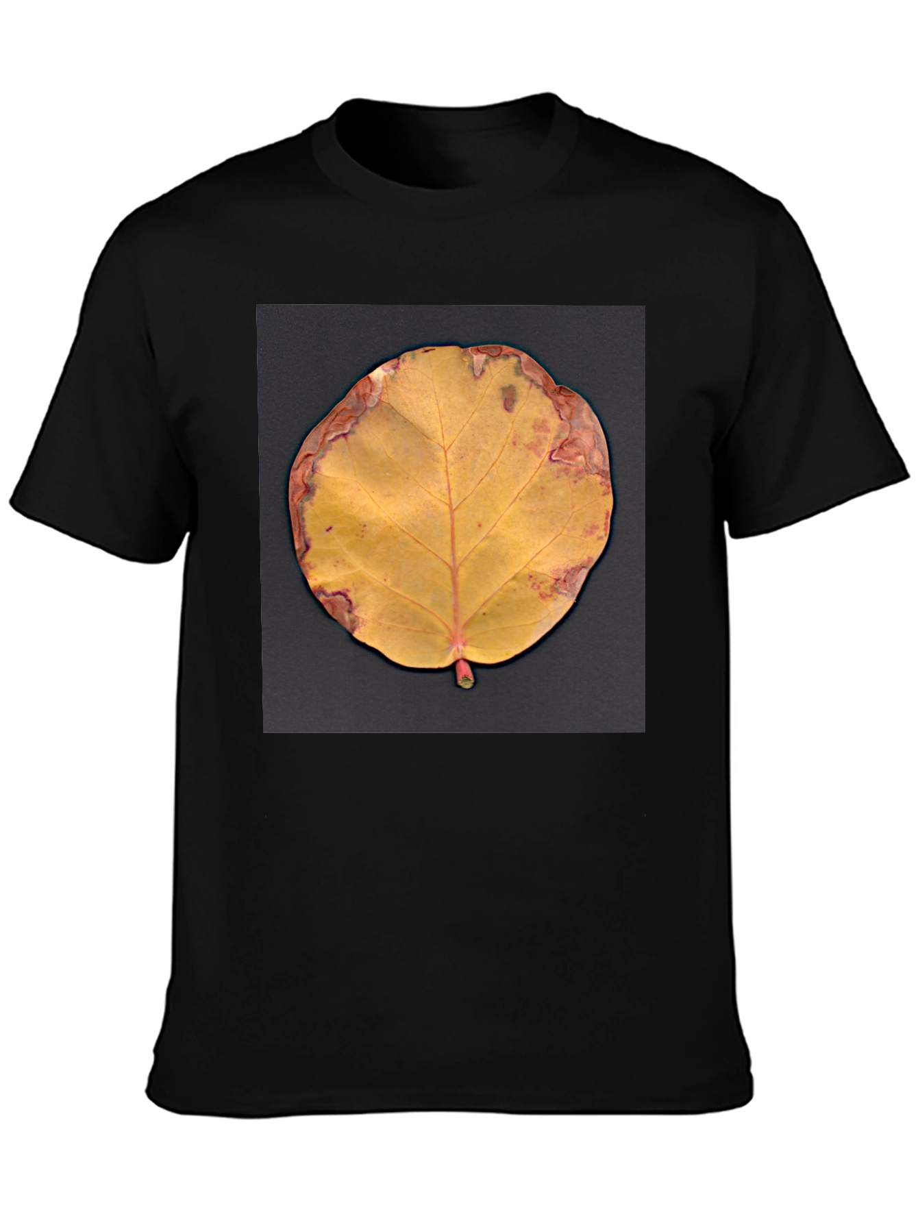 Fall Leaf Graphic Tee - Unique Nature Design