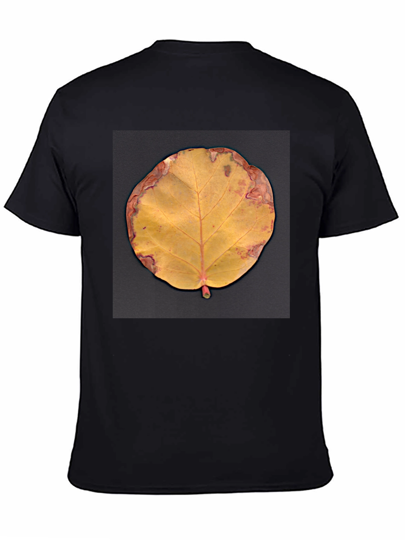 Fall Leaf Graphic Tee - Unique Nature Design