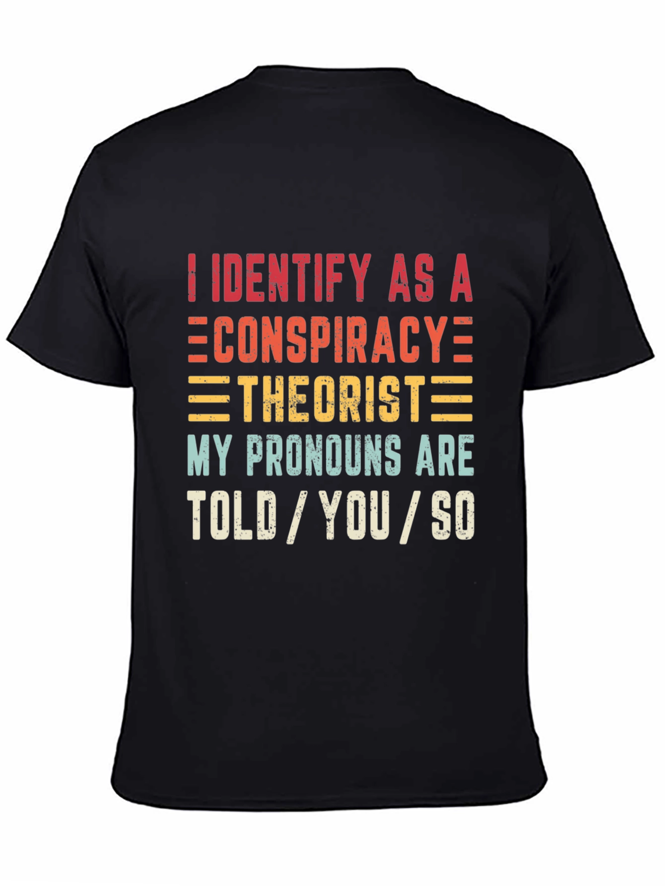 Conspiracy Theorist Pronoun T-Shirt