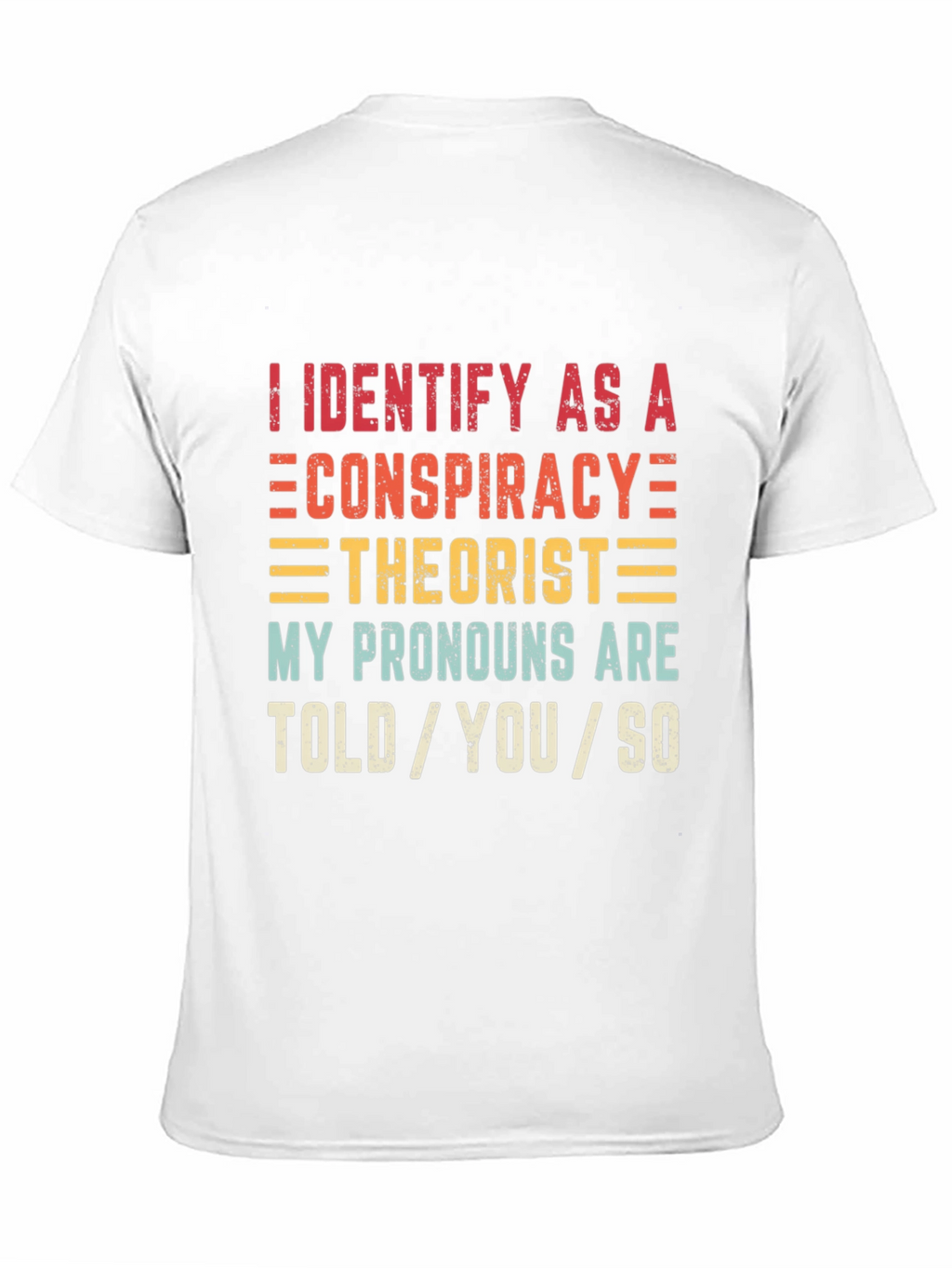 Conspiracy Theorist Pronoun T-Shirt