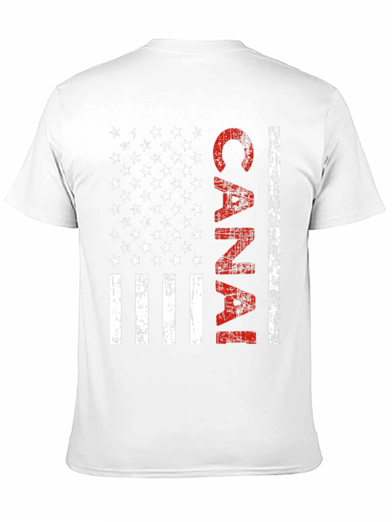 Canal American Flag Style Graphic T-Shirt